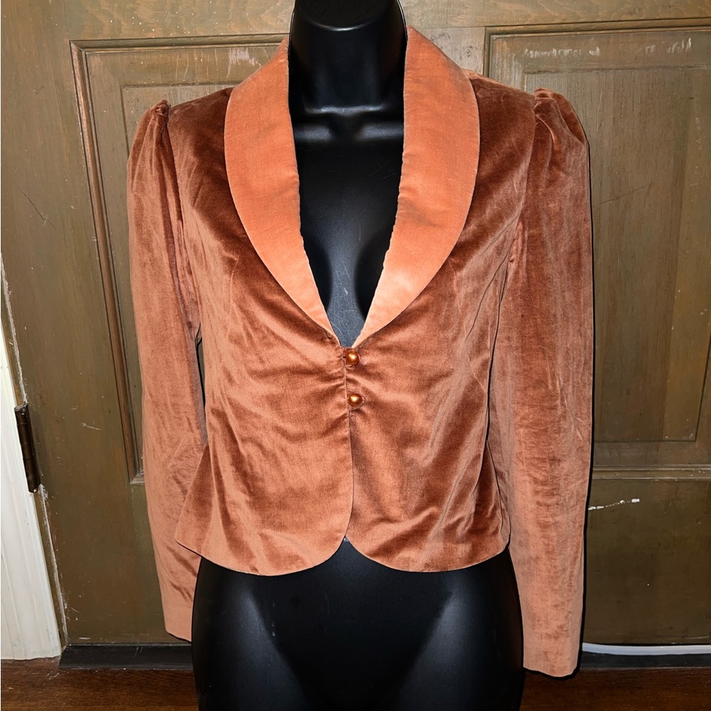 Vintage Strawberry Plant Tan Velvet Long Puffed Sleeve Blazer Jacket Size 3-4 - Picture 2 of 13